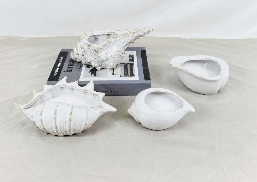 Žvakidės būna įvairių formų. Ar jūs kada nors matėte vieną formą kaip jūros kriauklė?